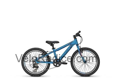 Focus Raven Rookie 1.0 scheda tecnica e recensioni